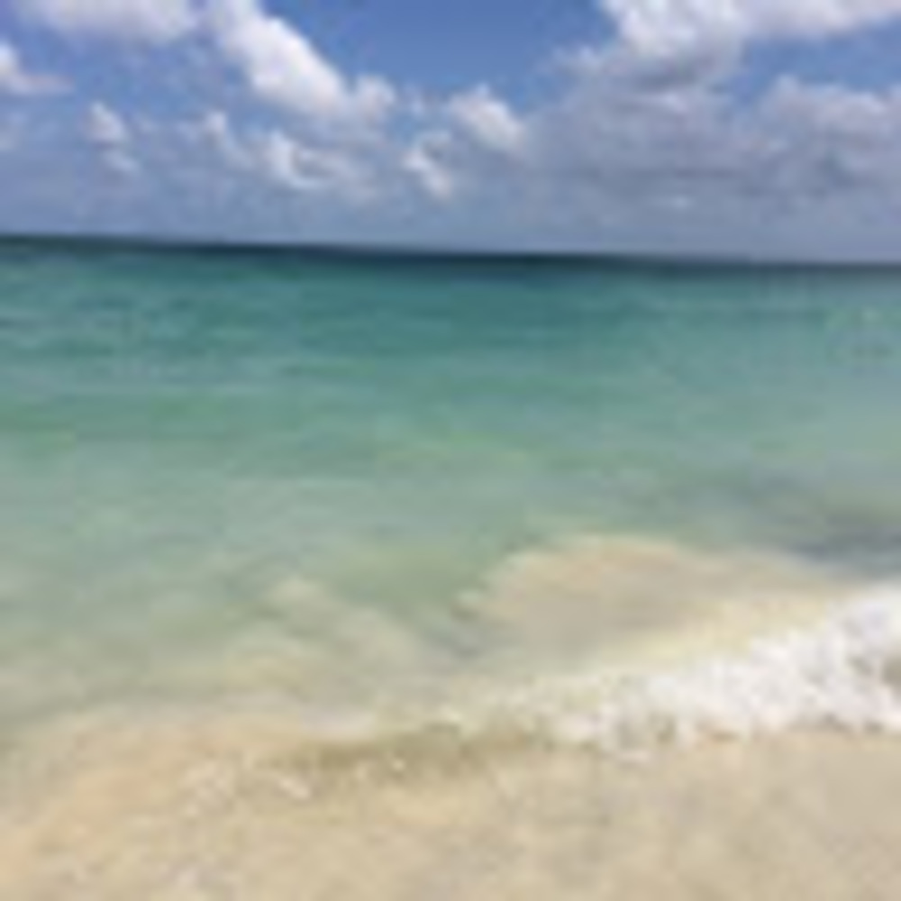 Meet your Posher, Arri